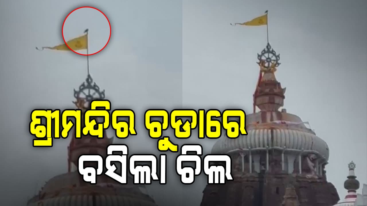 ଶ୍ରୀମନ୍ଦିରରେ ଆଜି କଂସ ବଧ ନୀତି; ଚୁଡାରେ ବସିଲା ଚିଲ
