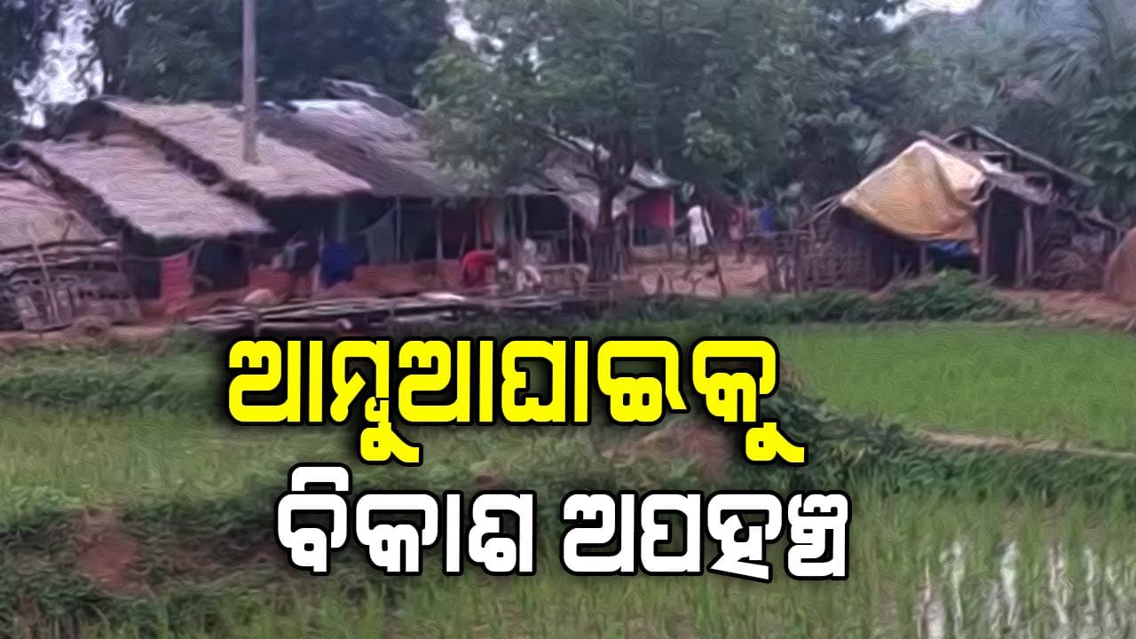 ଅଭିଶପ୍ତ ଜୀବନ କାଟୁଛନ୍ତି ଗ୍ରାମବାସୀ