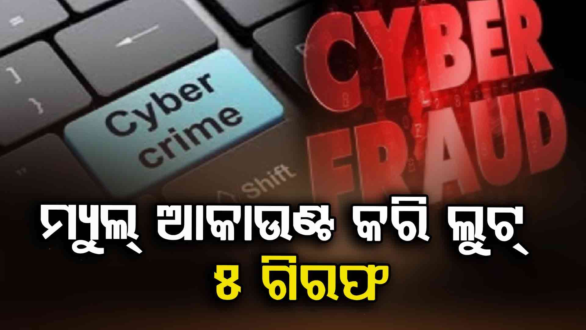କମିସନରେଟ୍ ପୋଲିସ ହାତରେ ବିହାରର ସାଇବର ଠକ 
