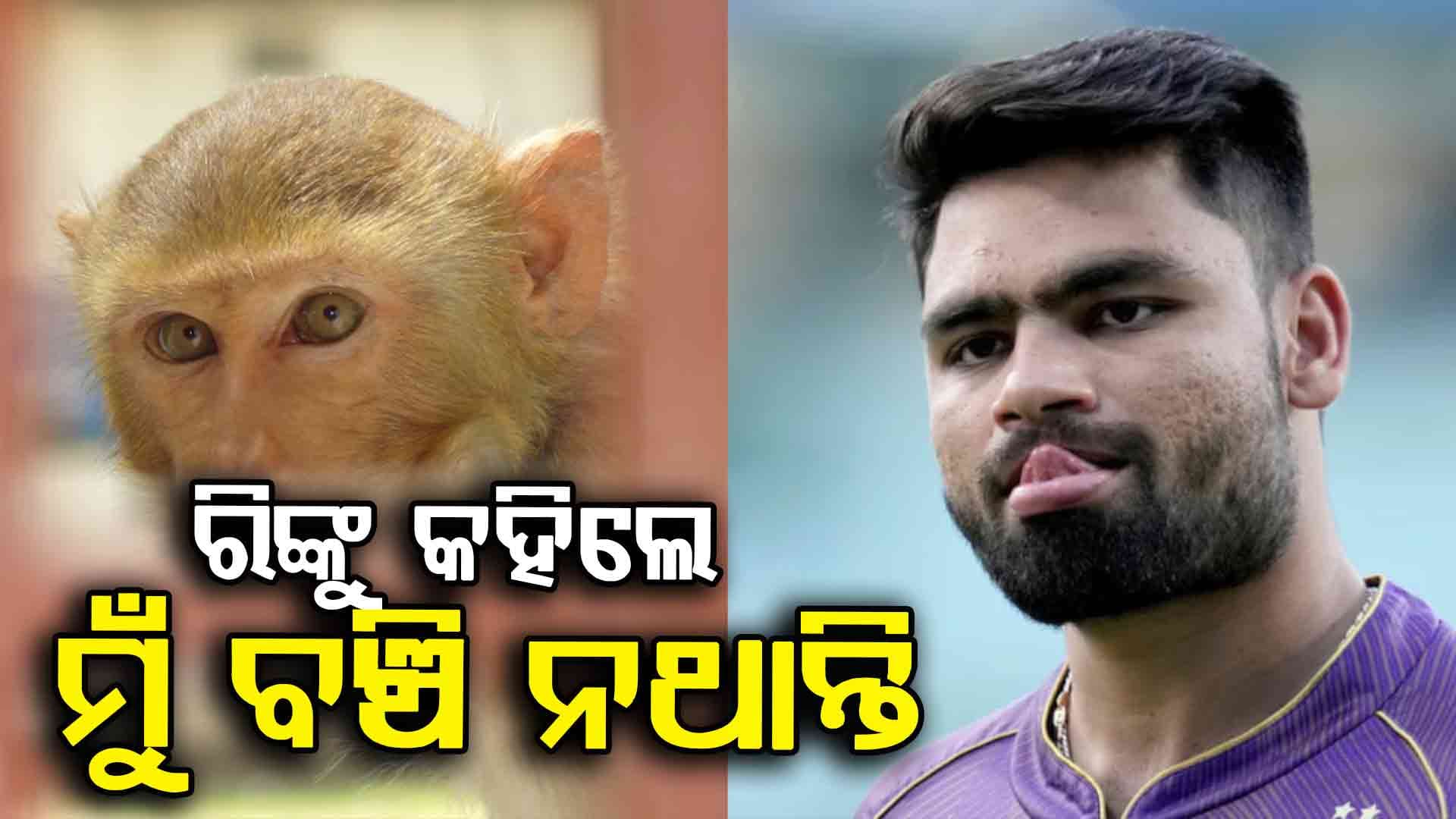 ମାଙ୍କଡ଼ ଆକ୍ରମଣର ଛାତିଥରା କାହାଣୀ କହିଲେ ଭାରତୀୟ କ୍ରିକେଟର ରିଙ୍କୁ ସିଂ