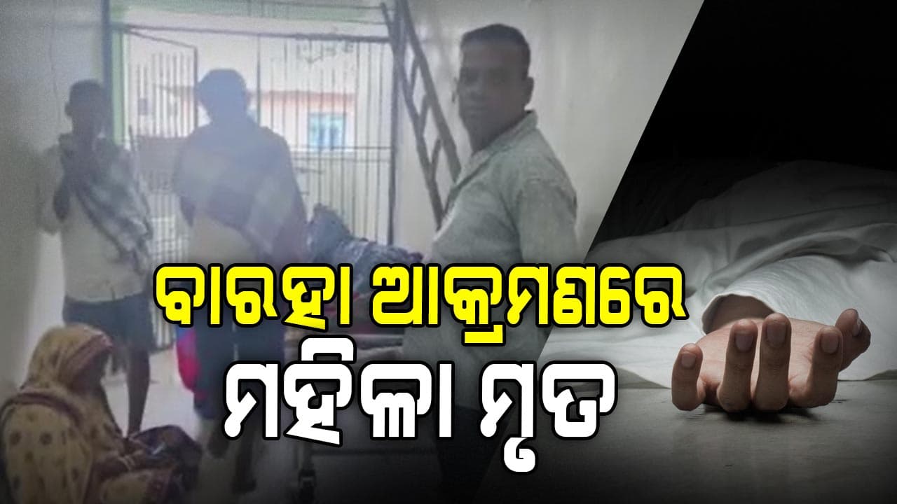 ବାରହା ଆକ୍ରମଣରେ ଚାଲିଗଲା ମହିଳାଙ୍କ ଜୀବନ, ପୋଲିସର ତଦନ୍ତ ଜାରି