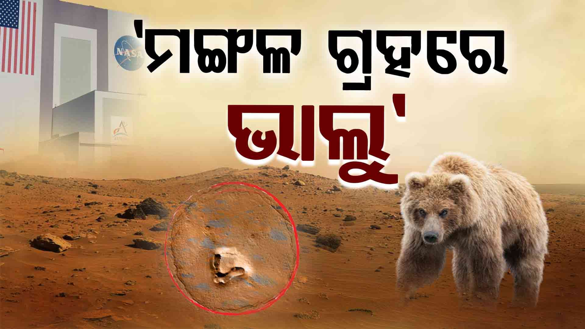ଅବିଶ୍ୱସନୀୟ ଛବି! ମଙ୍ଗଳ ଗ୍ରହରେ ବସି ହସୁଛି...