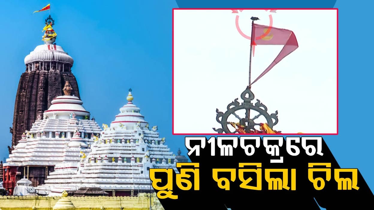 ସକାଳୁ ସକାଳୁ ନୀଳଚକ୍ରରେ ବସିଲା ଚିଲ