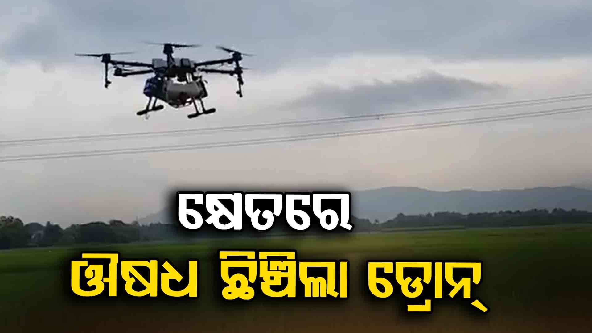  କ୍ଷେତରେ କୀଟପତଙ୍ଗ ନିୟନ୍ତ୍ରଣ ପାଇଁ ନୟାଗଡ ଚାଷୀଙ୍କର ଅଭିନବ ପ୍ରୟାସ 