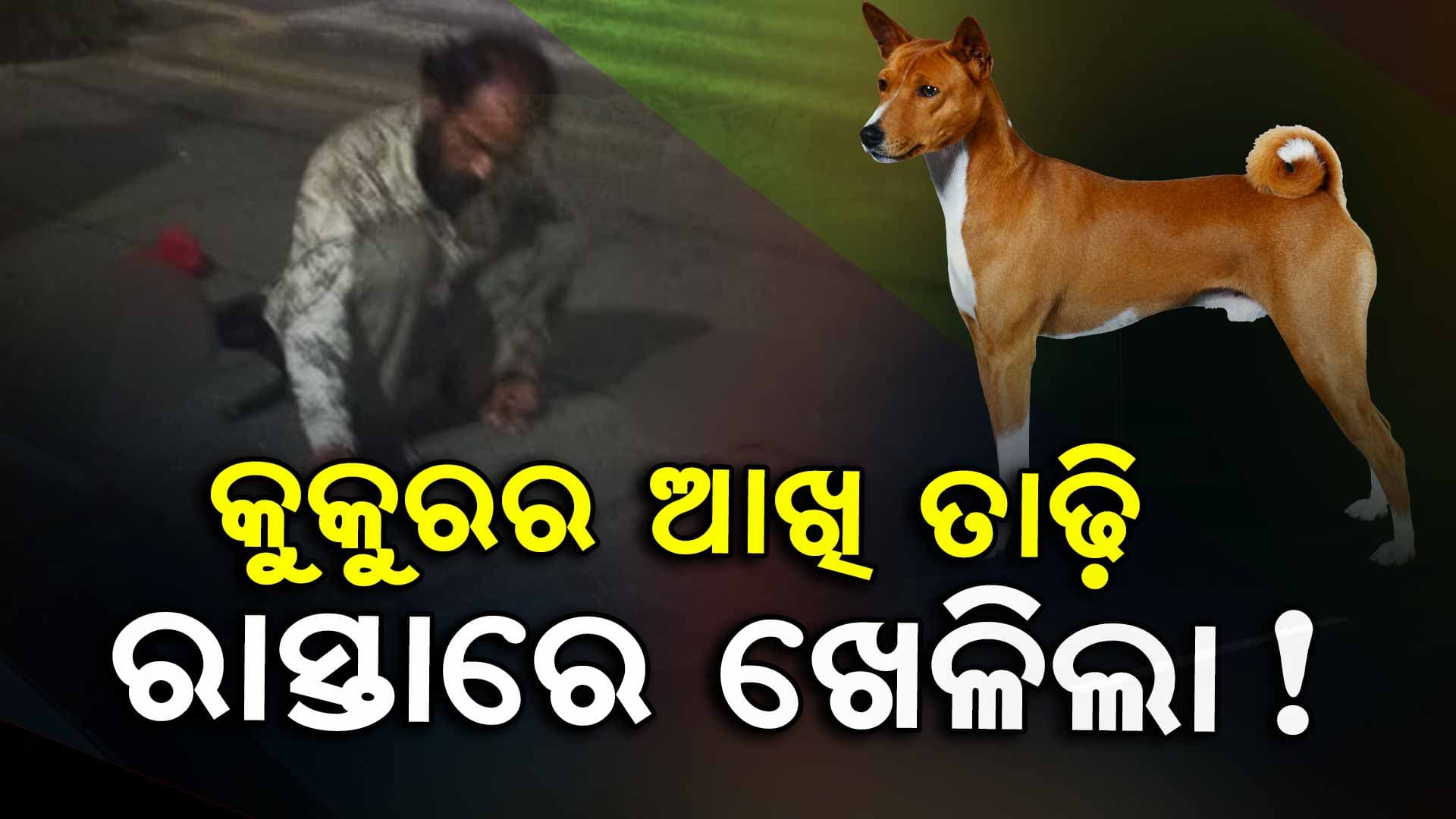 ଏ ମଣିଷ ପାଗଳ ନା କ'ଣ, ଏମିତି କିଏ କରେ ? ଜାଣନ୍ତୁ ପୁରା କାହାଣୀ...