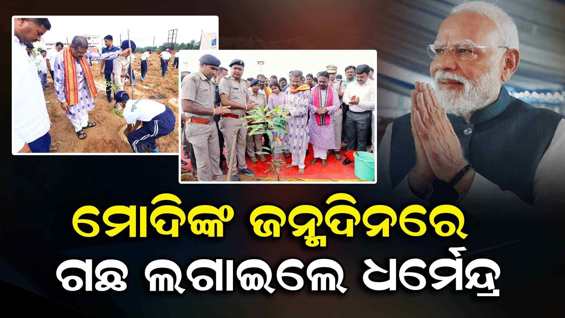 ମୋଦିଙ୍କ ଜନ୍ମଦିନ ପାଳିଲା ସାରା ଓଡ଼ିଶା, ଧର୍ମେନ୍ଦ୍ର ଲଗାଇଲେ ଗଛ
