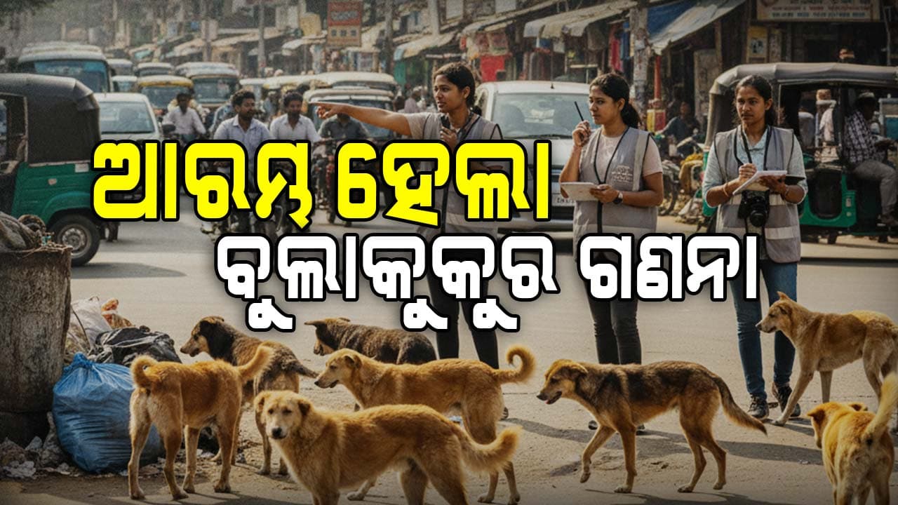ଆଜିଠୁ ଭୁବନେଶ୍ବରରେ ବୁଲାକୁକୁର ଗଣତି, ୨ଟି ପର୍ଯ୍ୟାୟରେ ଗଣିବେ ୪୧୦ ଟିମ୍