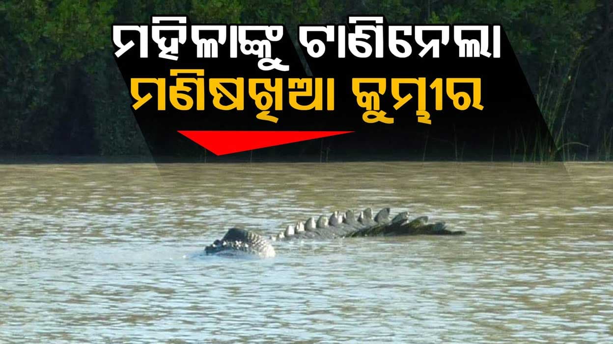ନଈକୂଳରୁ ମହିଳାଙ୍କୁ ଝାମ୍ପି ନେଲା କୁମ୍ଭୀର