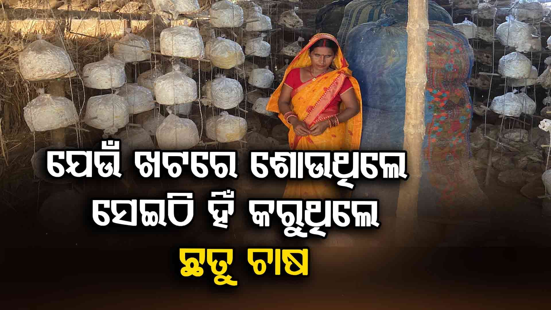 ସଂଘର୍ଷରୁ ସଫଳତା: `ମଶରୁମ ଲେଡି' ବୀଣା ଦେବୀଙ୍କ ପୁରା କାହାଣୀ ଜାଣନ୍ତୁ