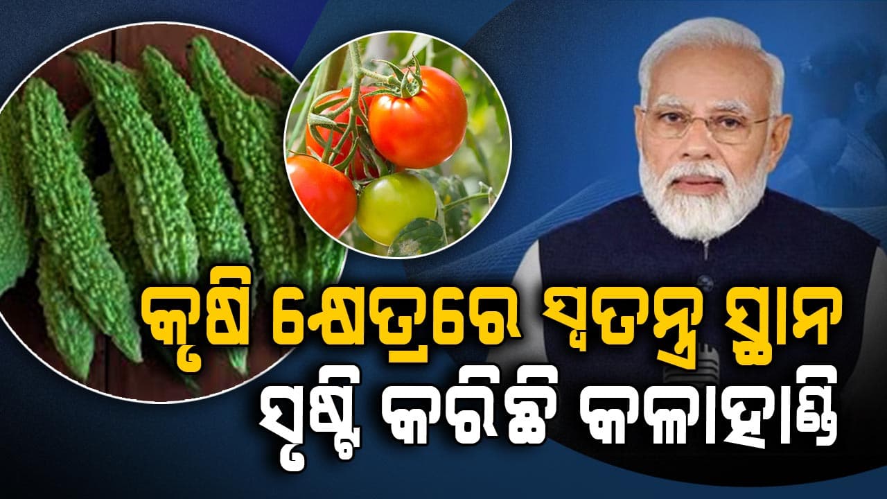 ଟମୋଟୋ, କଲରା ଚାଷ କରି ବାର୍ଷିକ ଆୟ କରୁଛନ୍ତି 1.5 କୋଟି