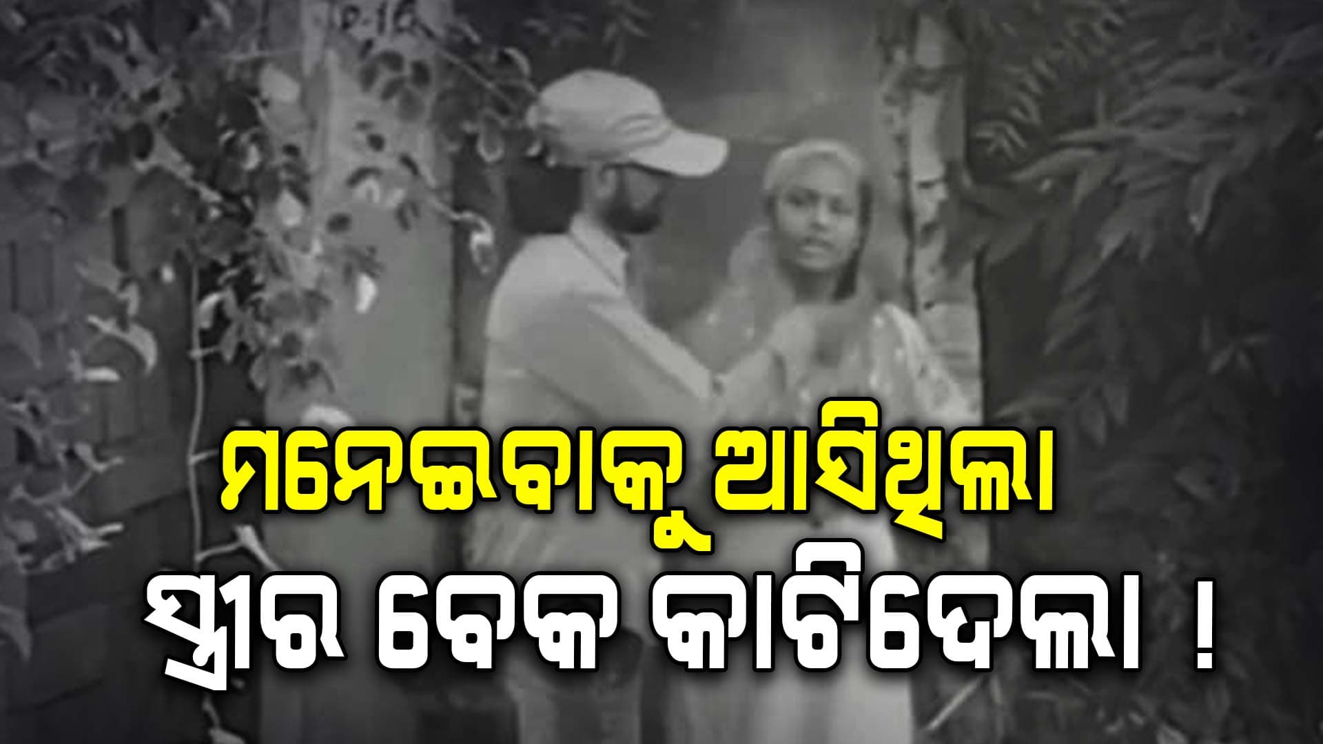 ଏମିତି ସ୍ୱାମୀ କାହାକୁ ନମିଳୁ.. ଯୁକ୍ତି ତର୍କରୁ ରାସ୍ତା ଉପର କାଟିଦେଲା ସ୍ତ୍ରୀର ବେକ !