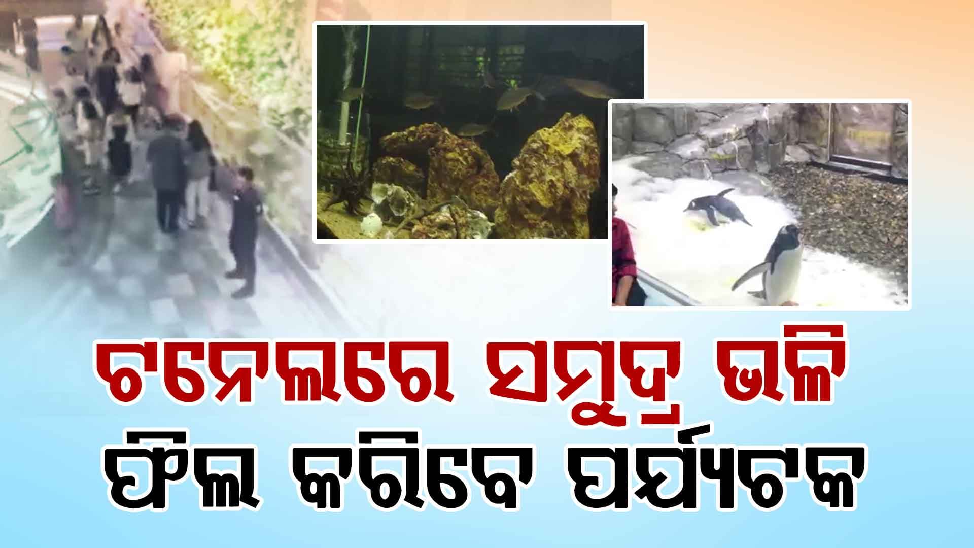 ଟନେଲରେ ପଶିଯିବେ ପର୍ଯ୍ୟଟକ, ସମୁଦ୍ର ଭଳି କରିବେ ଫିଲ୍
