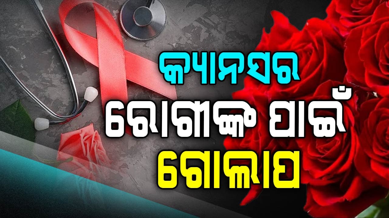 ଆଜି ବିଶ୍ଵ ଗୋଲାପ ଦିବସ  