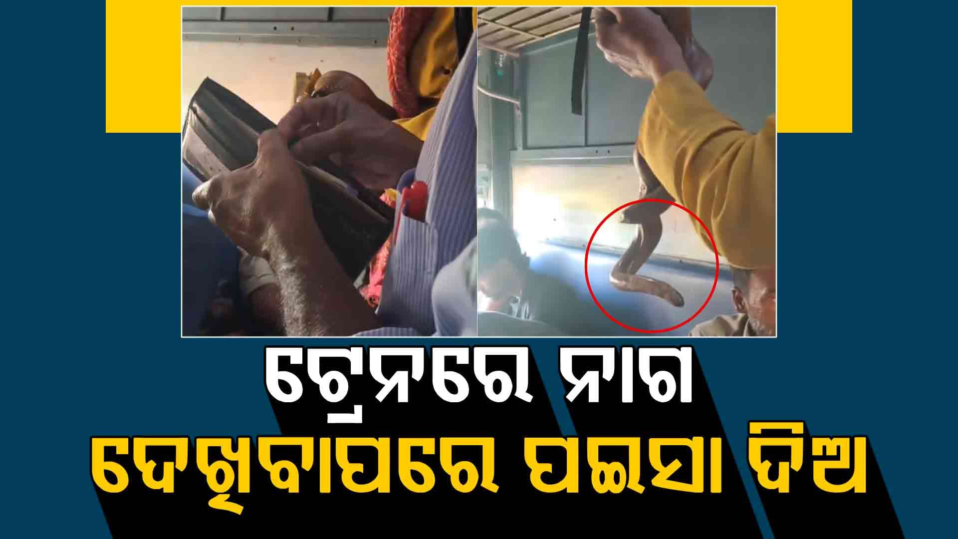 ଟ୍ରେନରେ ଖୁଲମଖୁଲ୍ଲା ସାପକୁ ଧରି ପଇସା ମାଗୁଛନ୍ତି ଏହି ବ୍ୟକ୍ତି: ଭିଡିଓ ଭାଇରାଲ