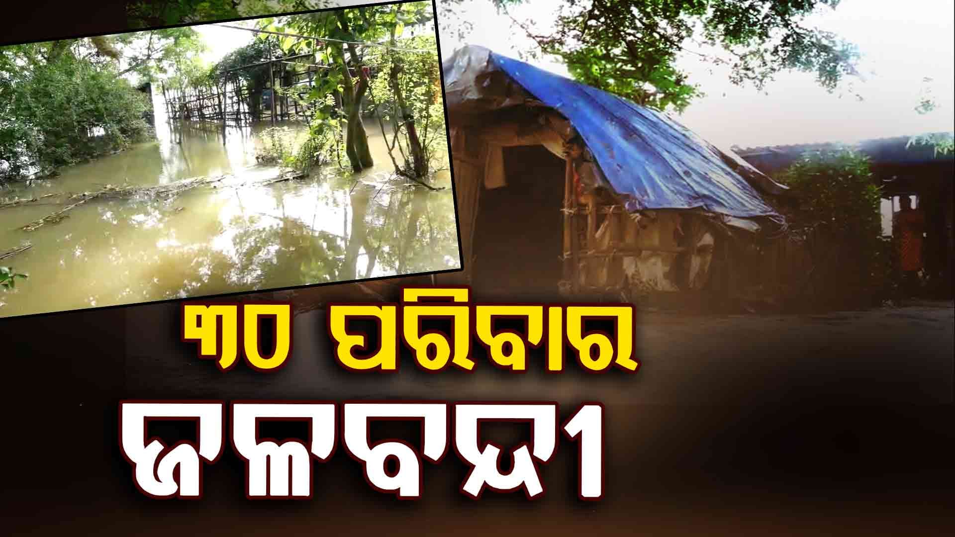 ତିର୍ତ୍ତୋଲର ତଳିଆ ଅଞ୍ଚଳରେ ପଶିଲା ମହାନଦୀର ବନ୍ୟା ଜଳ, ପାଣିଘେରରେ ୩୦ ପରିବାର