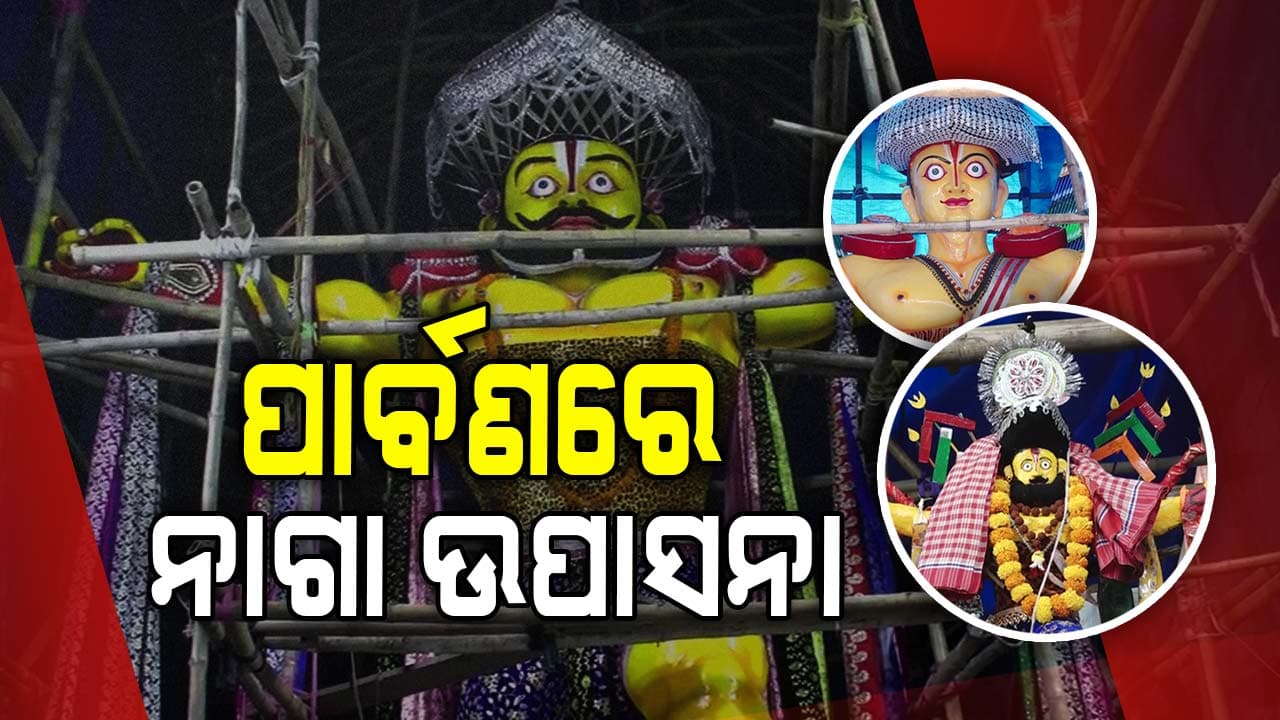 ନିଆରା ଦଶହରା, ପୂଜା ପାଆନ୍ତି ନାଗା ସାଧୁ...