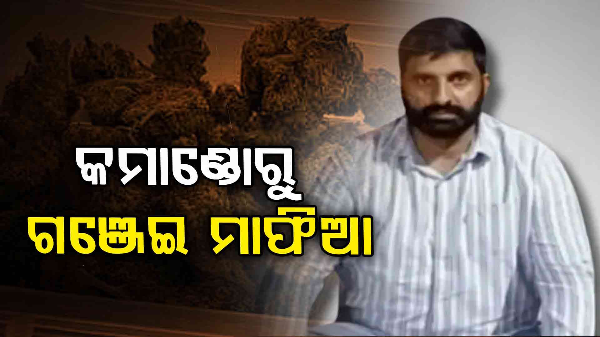 ମୁମ୍ବାଇ ୨୬/୧୧ ଆତଙ୍କବାଦୀଙ୍କ ସହ ଲଢ଼ିଥିଲେ, ଏବେ ଗଞ୍ଜେଇ ଚୋରା ଚାଲାଣର କିଙ୍ଗପିନ୍; ରହିଛି ଓଡ଼ିଶା ଲିଙ୍କ୍ 
