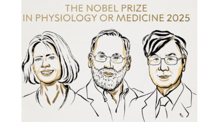 US, Japanese Scientists Awarded 2025 Nobel Prize For Medicine For Discovery On Immune System