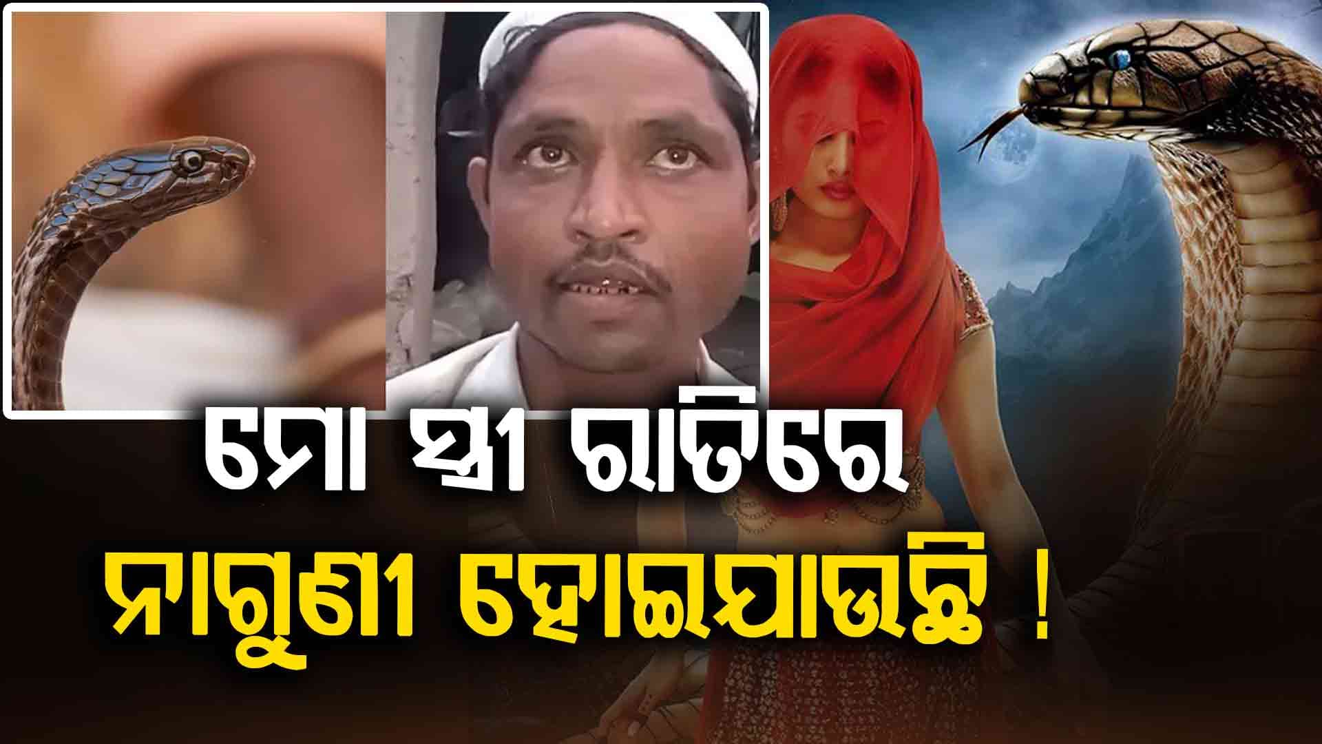 ରାତି ହେଲେ ମୋ ସ୍ତ୍ରୀ ନାଗୁଣୀ ହୋଇ ମୋତେ ଦଂଶୁଛି