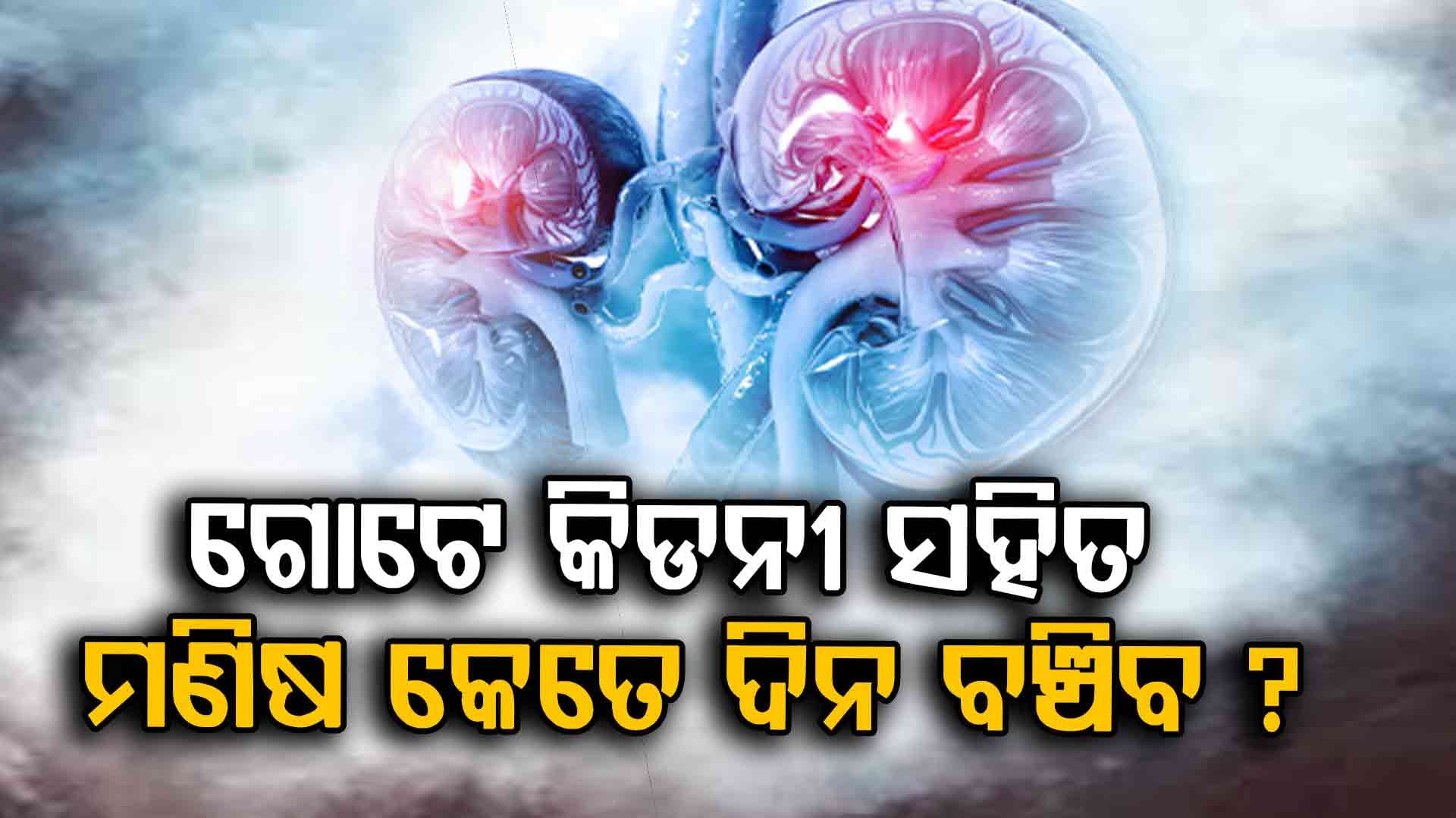 କିଡନୀ ସମସ୍ୟା: ଗୋଟିଏ କିଡନୀ ଖରାପ ଥିଲେ କେଉଁ ସମସ୍ୟା ହେବ ?