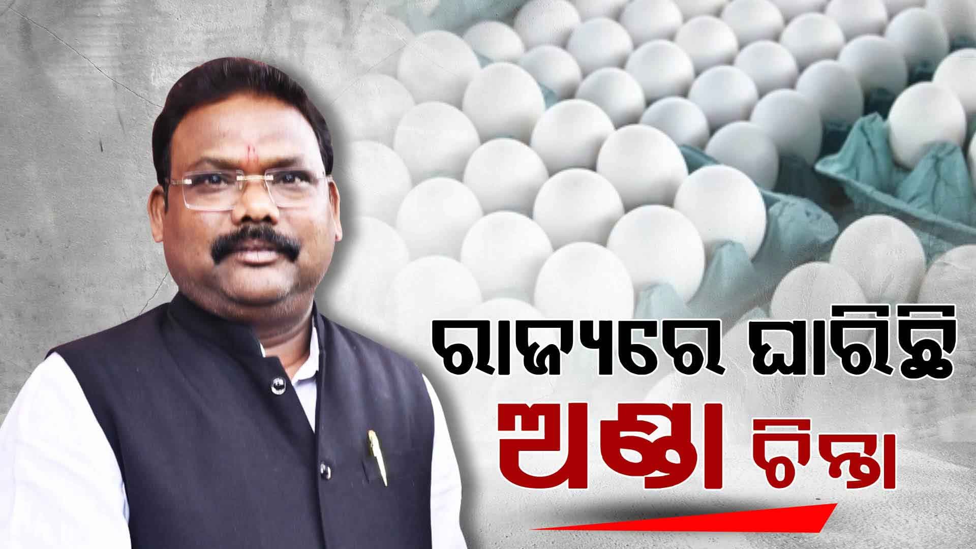 ଚିନ୍ତାରେ ରାଜ୍ୟ ସରକାର କମୁଛି ଅଣ୍ଡା ଉତ୍ପାଦନ