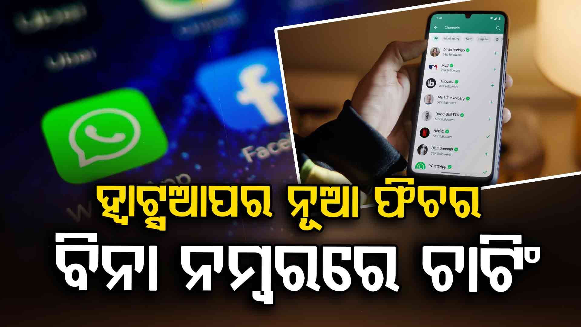  ହ୍ୱାଟସଆପରେ ମୋବାଇଲ୍ ନମ୍ବର ନୁହେଁ, ‘ୟୁଜରନେମ୍’ ଦ୍ୱାରା ହେବ ଚାଟ୍