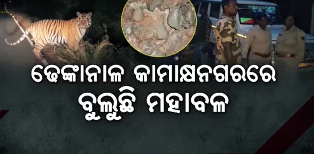 ପାଦ ଚିହ୍ନ ଚିହ୍ନଟ ପରେ ଅଞ୍ଚଳରେ କୋକୁଆ ଭୟ