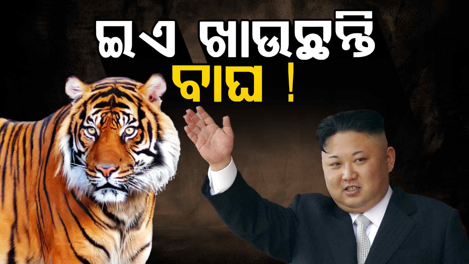 ଉତ୍ତର କୋରିଆ ଲୋକଙ୍କୁ ମିଳୁନି ଖାଦ୍ୟ, ଖାଉଛନ୍ତି...