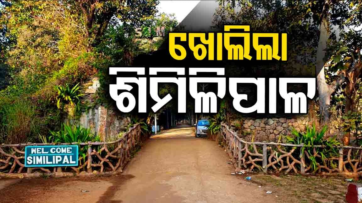 ଆଜିଠୁ ଖୋଲିଲା ଶିମିଳିପାଳ ଜାତୀୟ ଉଦ୍ୟାନ 