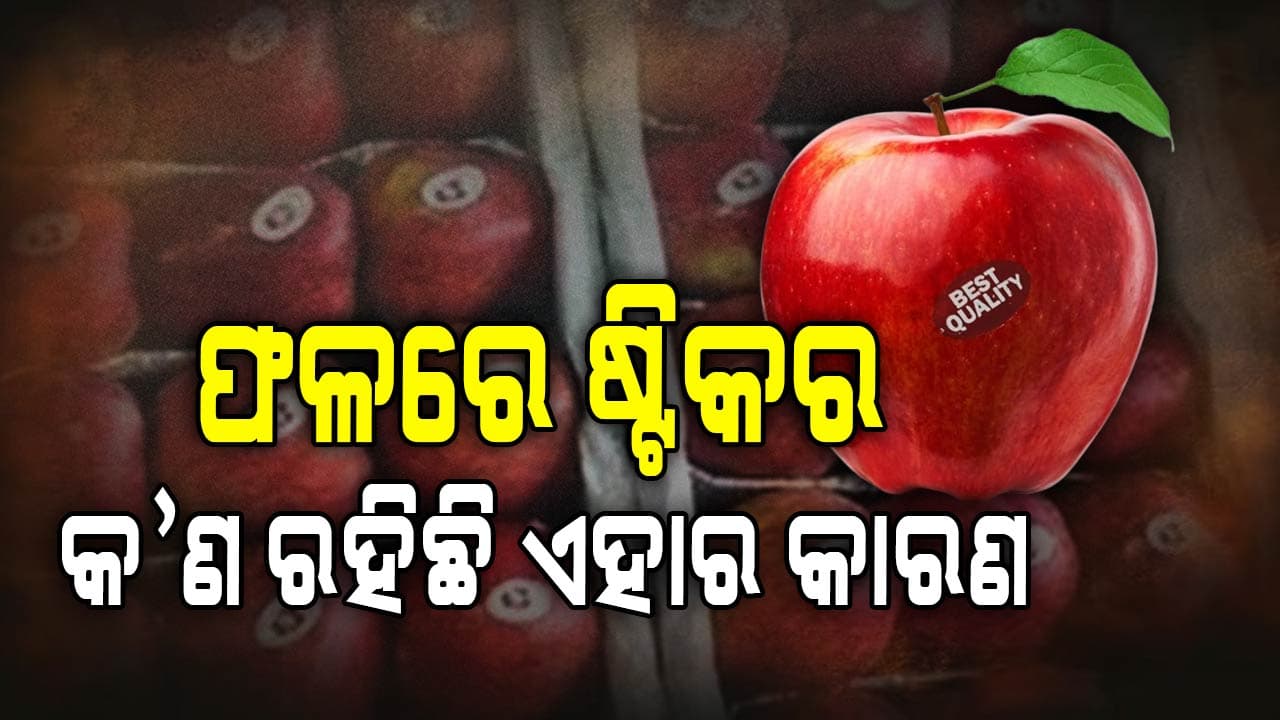 ଫଳ ଉପରେ ଥିବା ସଂକେତର ଅର୍ଥ କ’ଣ? ଜାଣନ୍ତୁ...