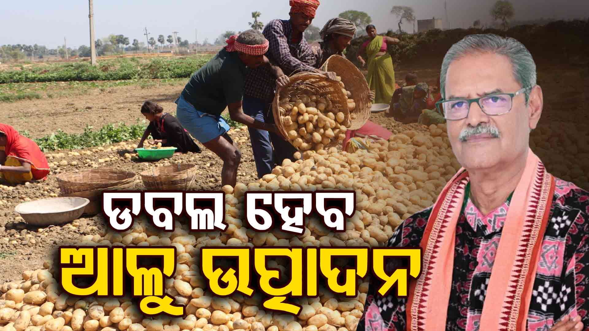 ଆଉ ନାଲି ଆଖି ଦେଖାଇ ପାରିବେନି ମମତା, କୃଷି ମନ୍ତ୍ରୀଙ୍କ ଦମ୍ଭୋକ୍ତି 'ଆଳୁ ଚାଷରେ ଆତ୍ମ ନିର୍ଭର ହେବ ଓଡ଼ିଶା'