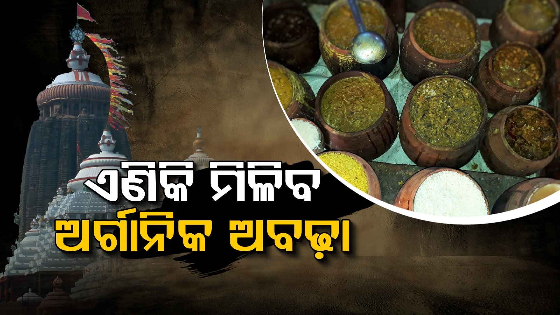 ବରଗଡ଼-କଟକ-କୋରାପୁଟ ଜିଲ୍ଲାରେ କରାଯାଉଛି ଅର୍ଗାନିକ ଫାର୍ମିଂ