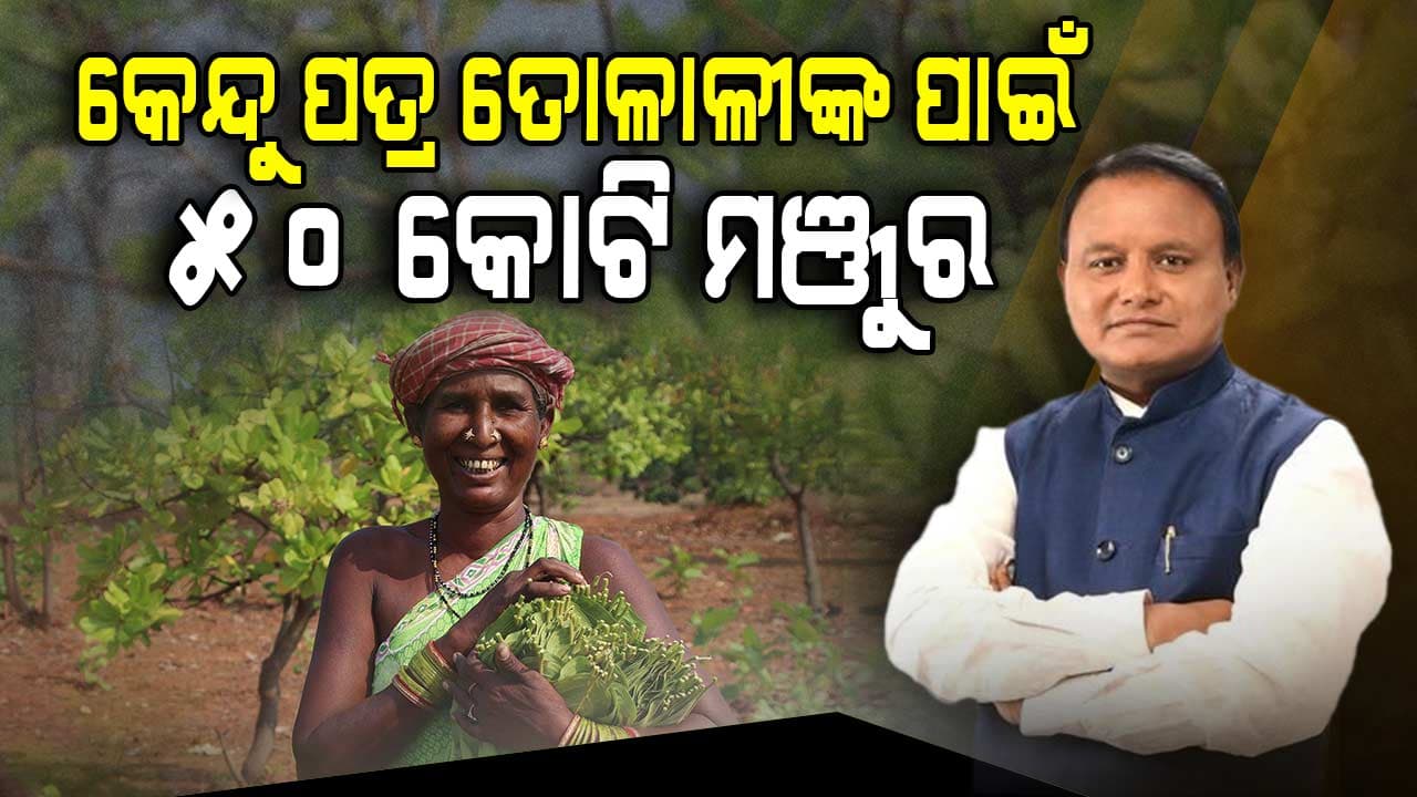 ରାଜ୍ୟ ସରକାରଙ୍କ ବଡ଼ ଭେଟି; ଉପକୃତ ହେବେ ୨୨ ଜିଲ୍ଲାର ୯ ଲକ୍ଷରୁ ଅଧିକ କେନ୍ଦୁପତ୍ର ତୋଳାଳୀ