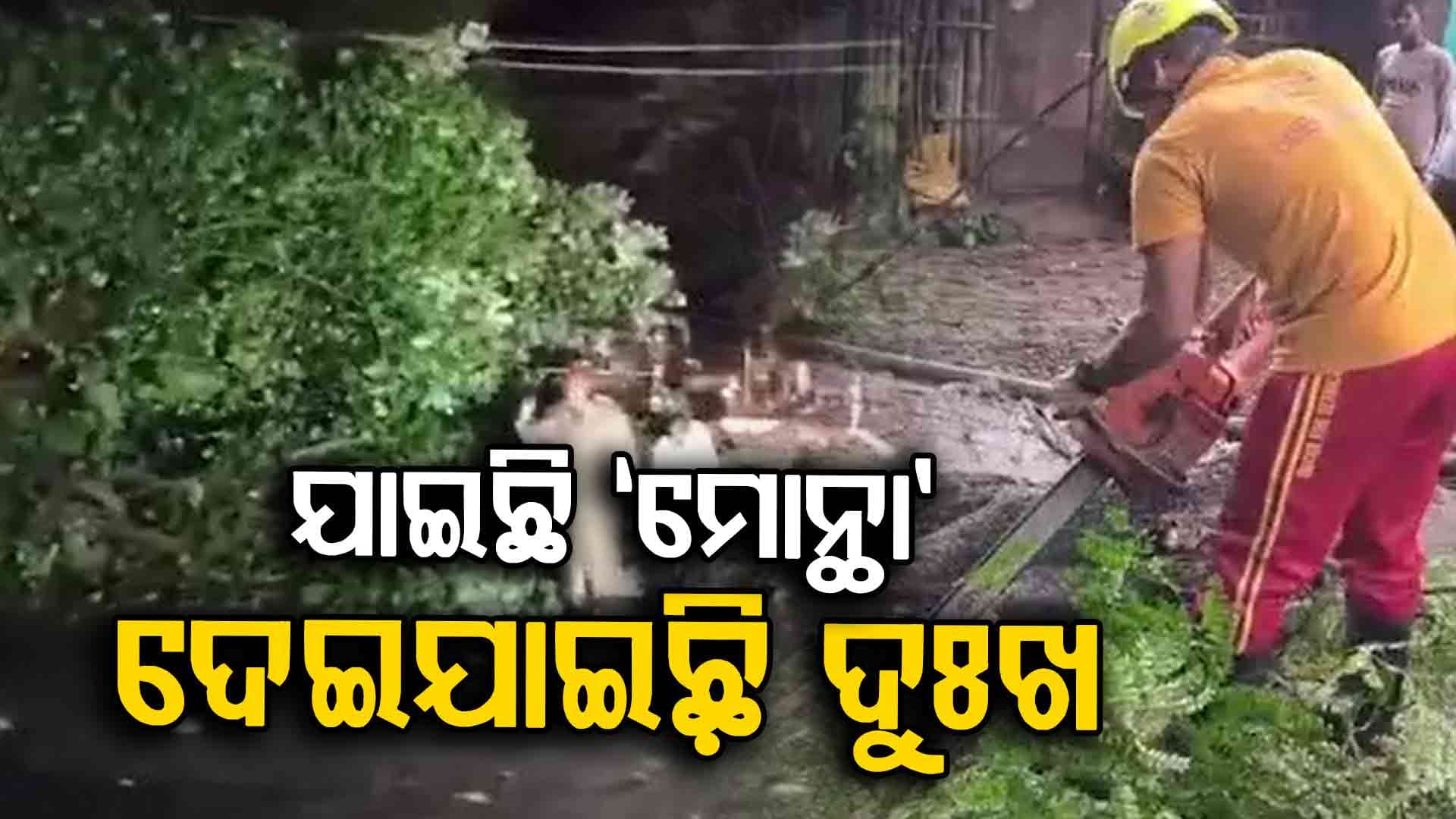 ବାତ୍ୟା ମୋନ୍ଥା ପ୍ରଭାବରେ ଉପୁଡ଼ିଲା ଗଛ, ଭାଙ୍ଗିଲା ଘର ଗଲା ଜୀବନ 