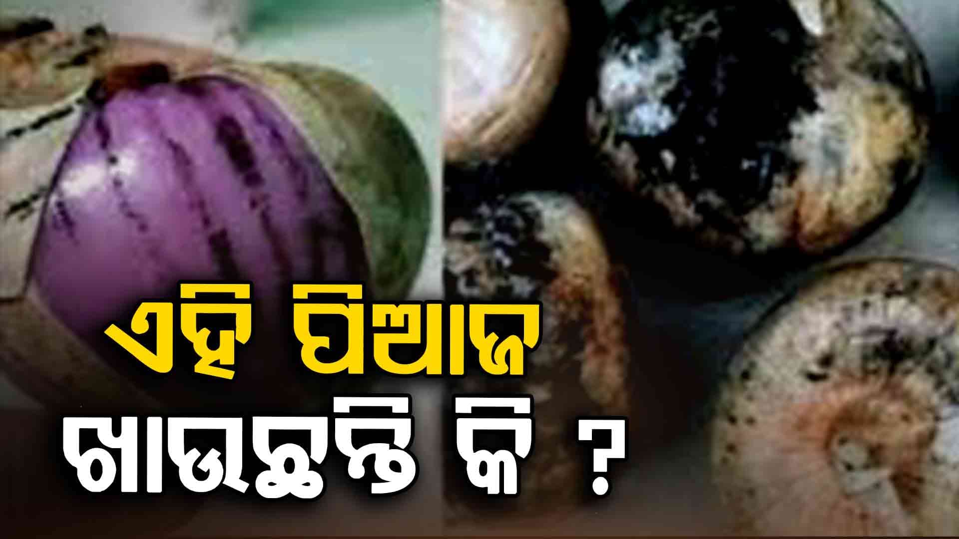 ଏହିଭଳି ପିଆଜ ଖାଉଥିଲେ ସାବଧାନ ! ହୋଇପାରେ ବଡ଼ ରୋଗ