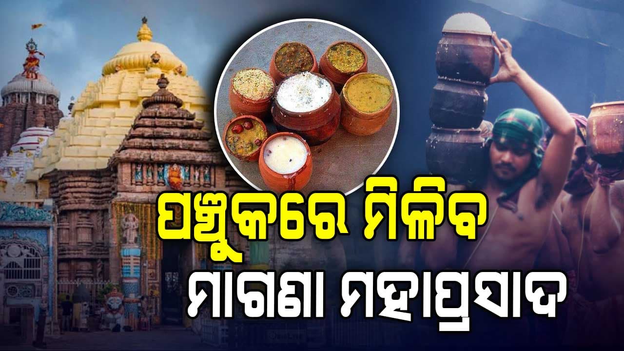 ପଞ୍ଚୁକ ପ୍ରଥମ ୩ ଦିନ ବାହାର କାଠରୁ ଦର୍ଶନ, ନିଖୋଜଙ୍କ ସନ୍ଧାନ ପାଇଁ ୩ ଦ୍ଵାରରେ ବ୍ୟବସ୍ଥା