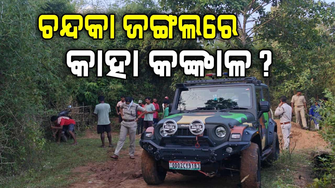 ଜଙ୍ଗଲ ମଧ୍ୟରୁ ମିଳିଲା ଅଧା ପୋତା କଙ୍କାଳ, ଏଣେତେଣେ ପଡ଼ିଛି ହାଡ଼ ଓ ଖପୁରି 