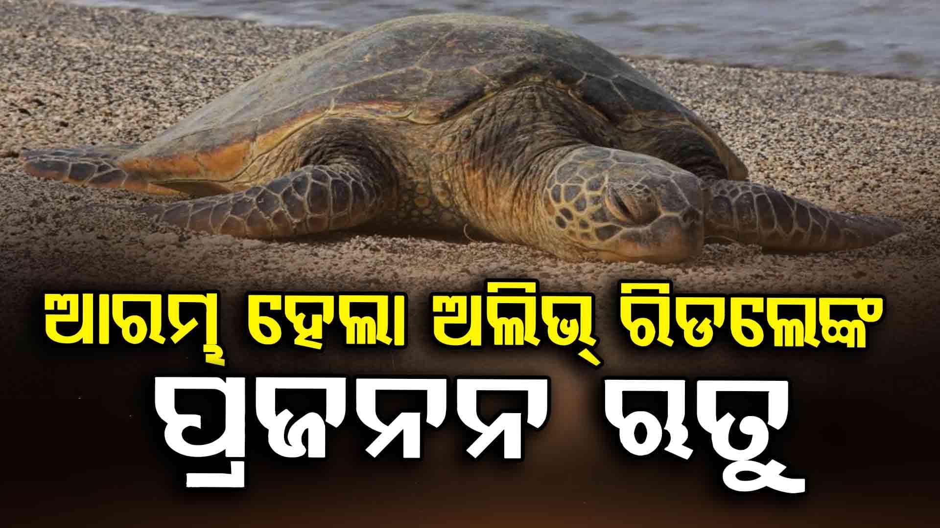 ଆଜିଠାରୁ ୭ ମାସ ଧରି ମାଛମରା ବାରଣ