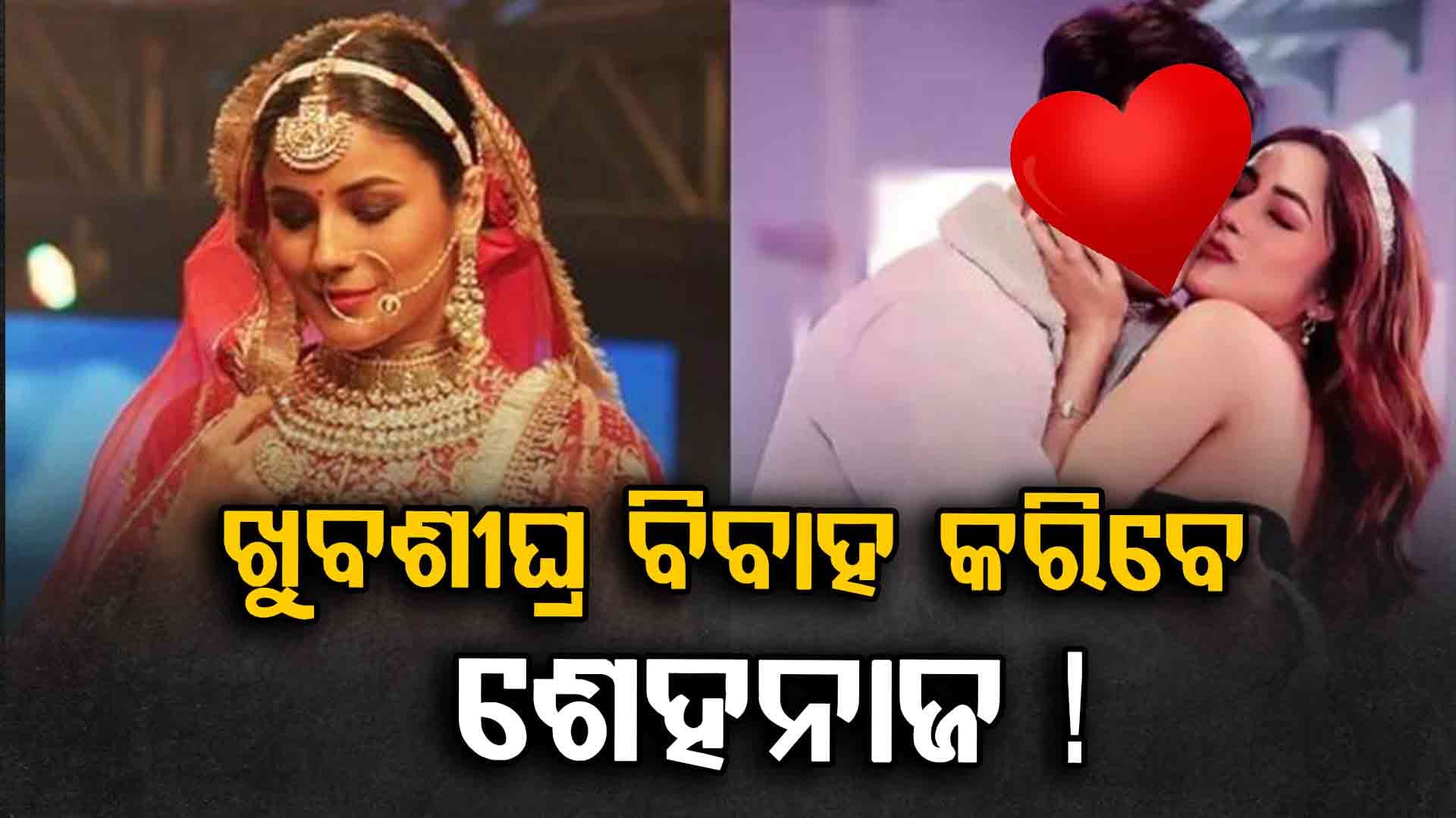 ଜଣେ କୋଟିପତି ଅଭିନେତାଙ୍କୁ ଡେଟ୍‌ କରୁଛନ୍ତି ଶେହନାଜ