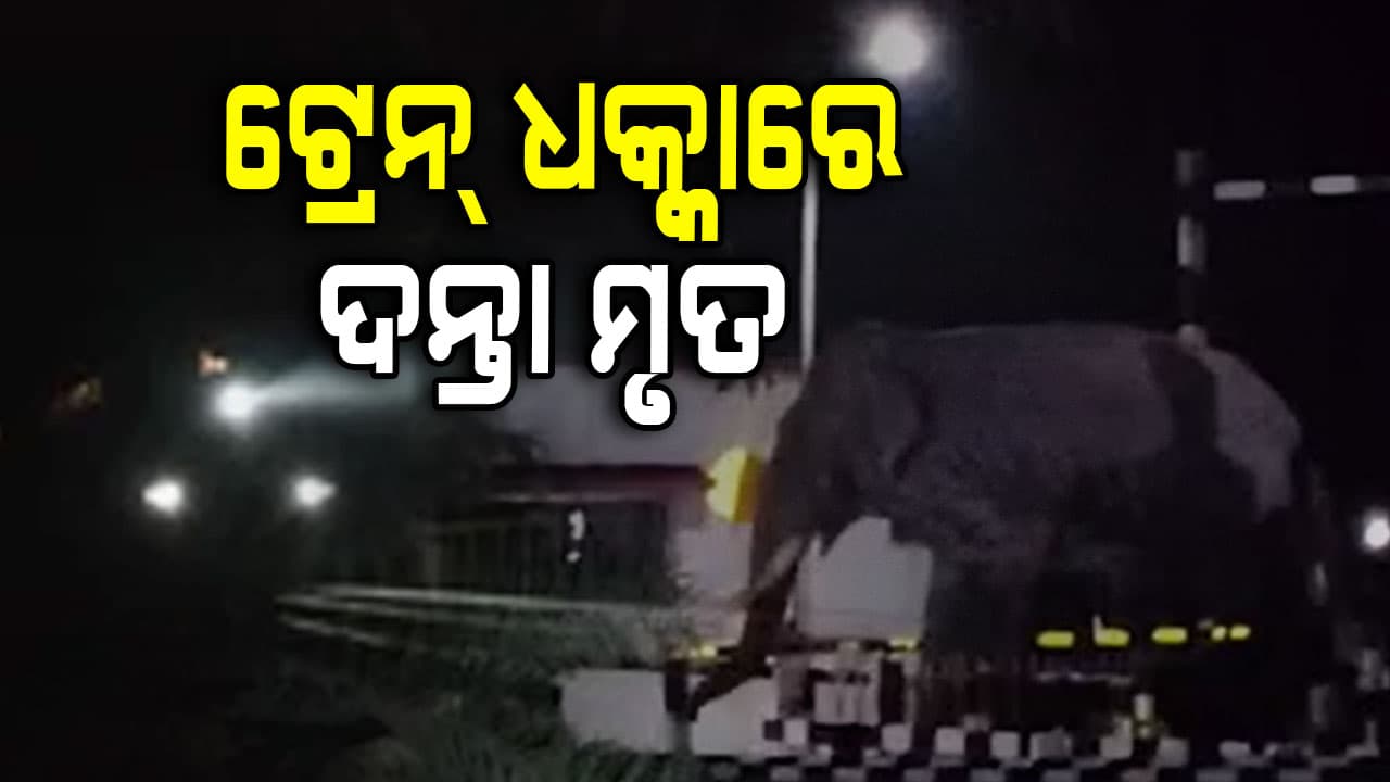 ଟ୍ରେନ୍ ଧକ୍କାରେ ଦନ୍ତା ହାତୀ ମୃତ 