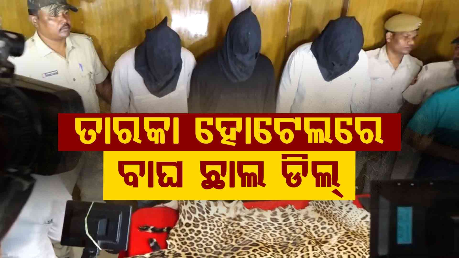 ରାଜ୍ୟ ବାହାରେ ବାଘ ଶିକାର, ଛାଲ ବିକ୍ରି ପାଇଁ ରାଜଧାନୀରେ ଡିଲ୍ ବେଳେ ମାଡ଼ି ବସିଲା ପୋଲିସ