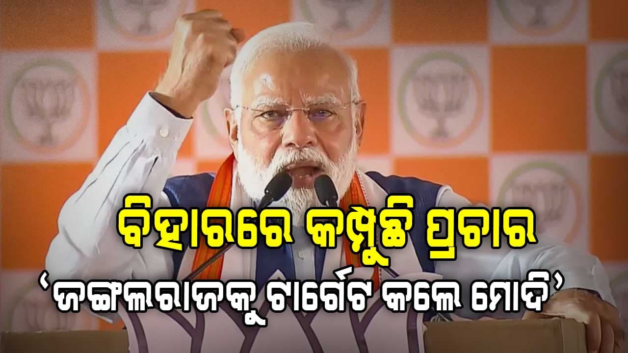Bihar Election: "NDAର ପରିଚୟ ବିକାଶ, RJD ଓ କଂଗ୍ରେସର ପରିଚୟ ବିନାଶ"