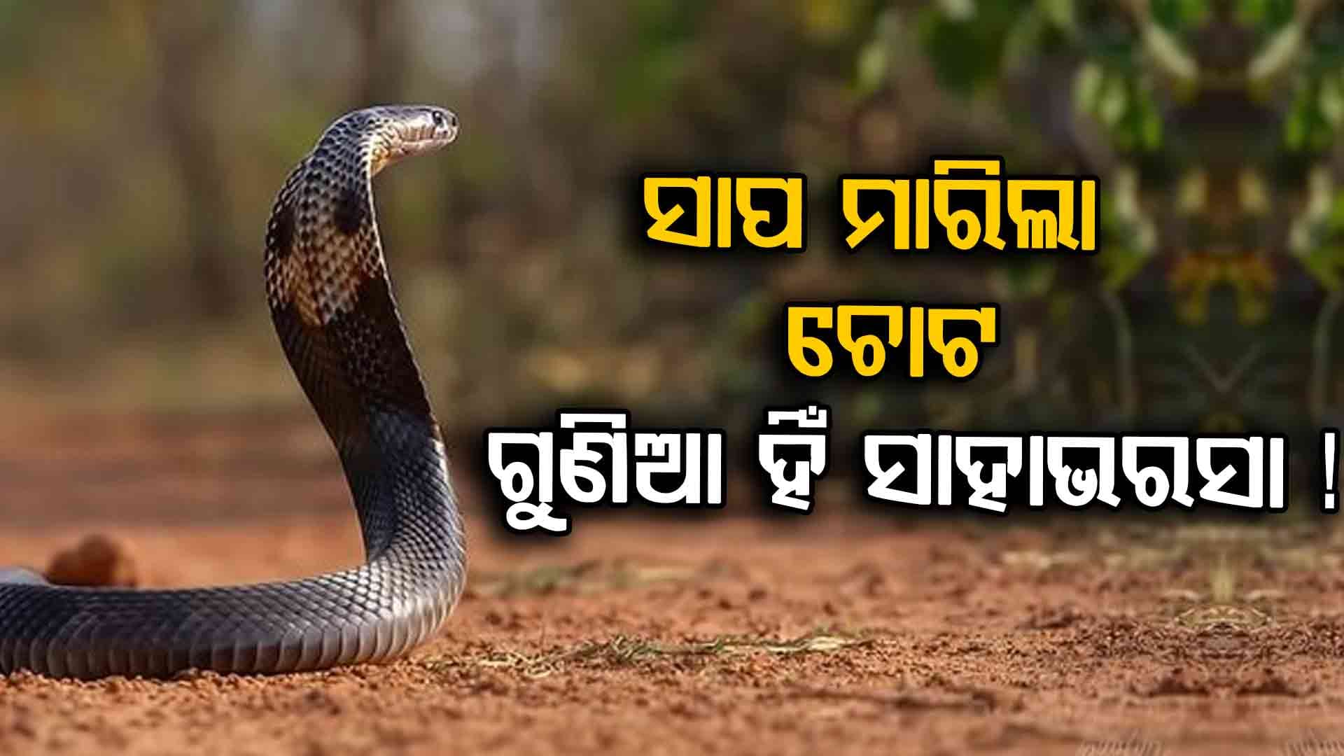 ଅନ୍ଧବିଶ୍ୱାସ ! ଗୁଣିଆକୁ ଭରସା କରି ଚାଲିଗଲା ପୁଅର ଜୀବନ 
