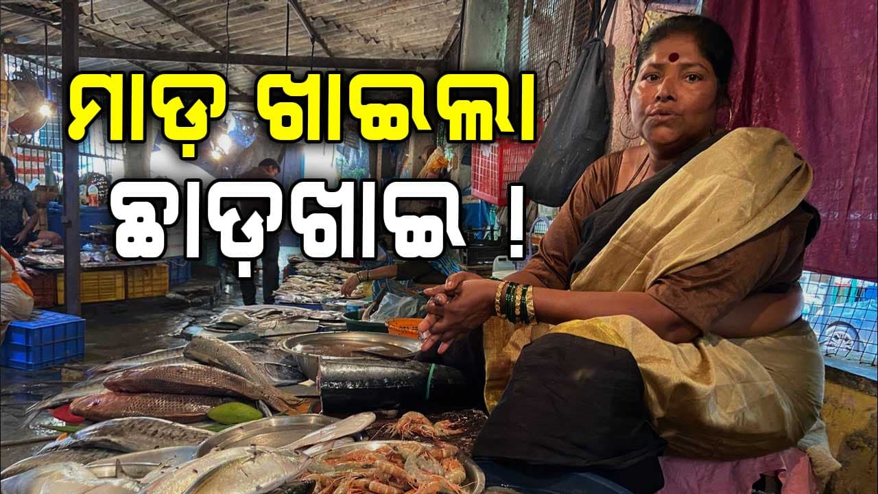 ଘୁଞ୍ଚିଗଲା ଛାଡ଼ଖାଇ, ମାଛ ବେଶି ଆସିଲାନି କି ଗ୍ରାହକ ବି ହେଲେନି !