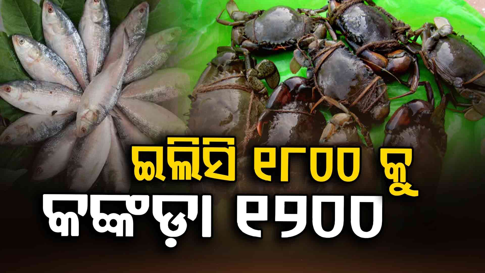 ଛାଡ଼ଖାଇ ପାଇଁ ଆମିଷ ବଜାରରେ ପ୍ରବଳ ଭିଡ଼ 
