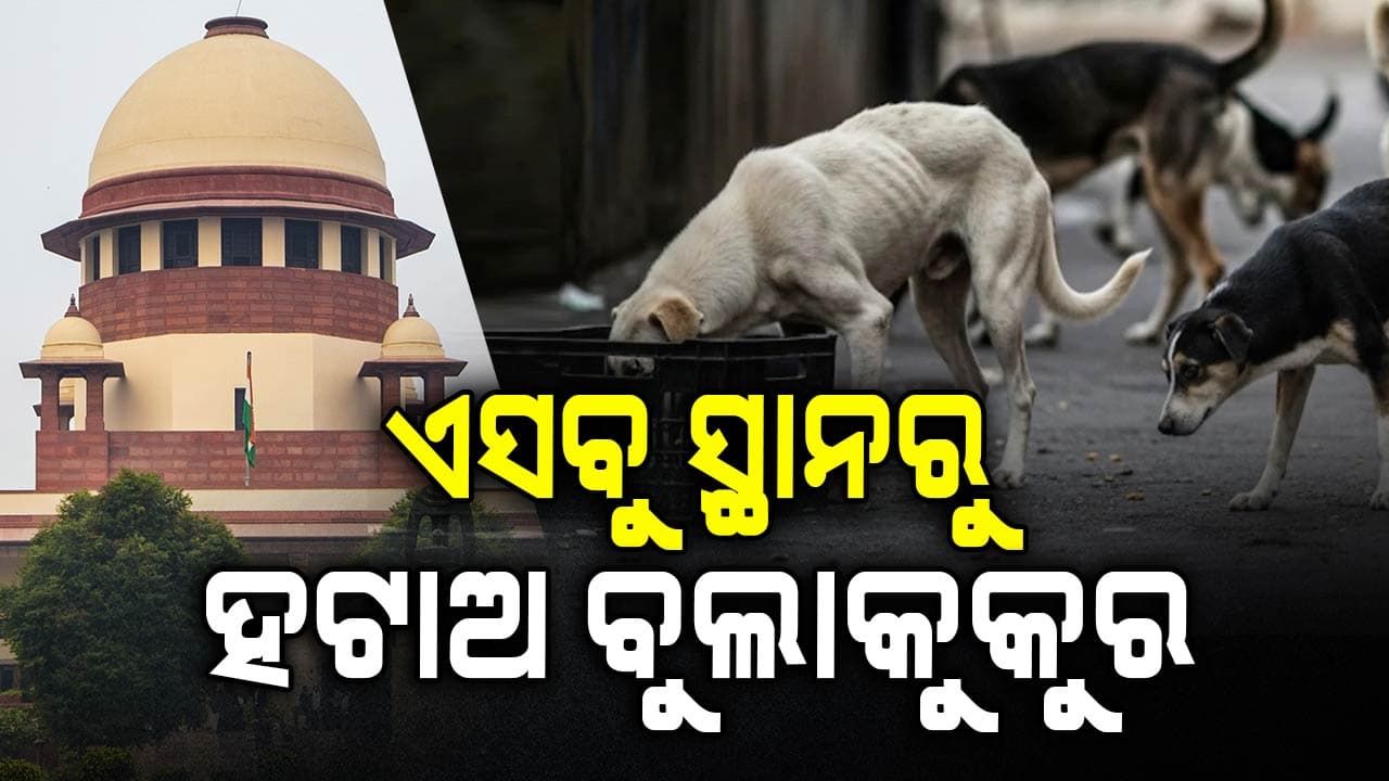 ସୁପ୍ରିମକୋର୍ଟଙ୍କ ବଡ଼ ନିଷ୍ପତ୍ତି, ଏସବୁ ସ୍ଥାନକୁ ବୁଲା କୁକୁର ମୁକ୍ତ କରିବା ପାଇଁ ଦେଲେ ନିର୍ଦ୍ଦେଶ
