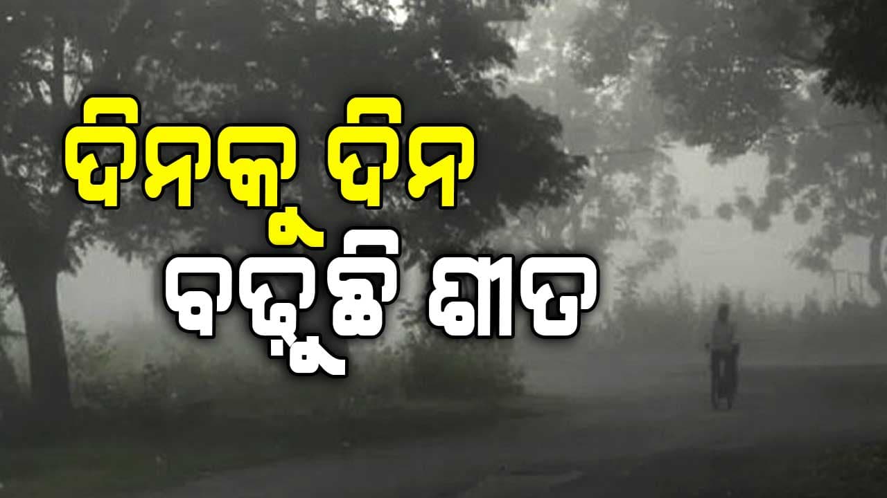 ସହର ଗୁଡ଼ିକ ଘନ କୁହୁଡ଼ିର ଧଳା ଚାଦରରେ ଘୋଡ଼େଇ ରହିଛି 