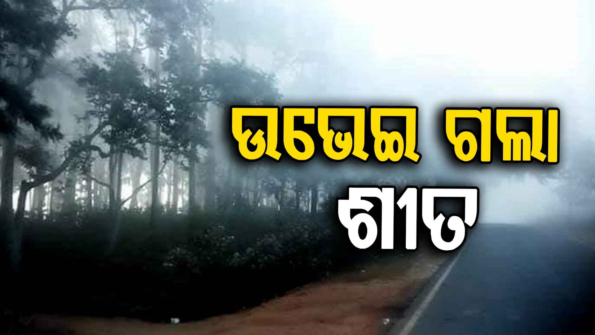 ବଢିଲା ରାତିର ତାପମାତ୍ରା... ଶୀତ ଗାଏବ