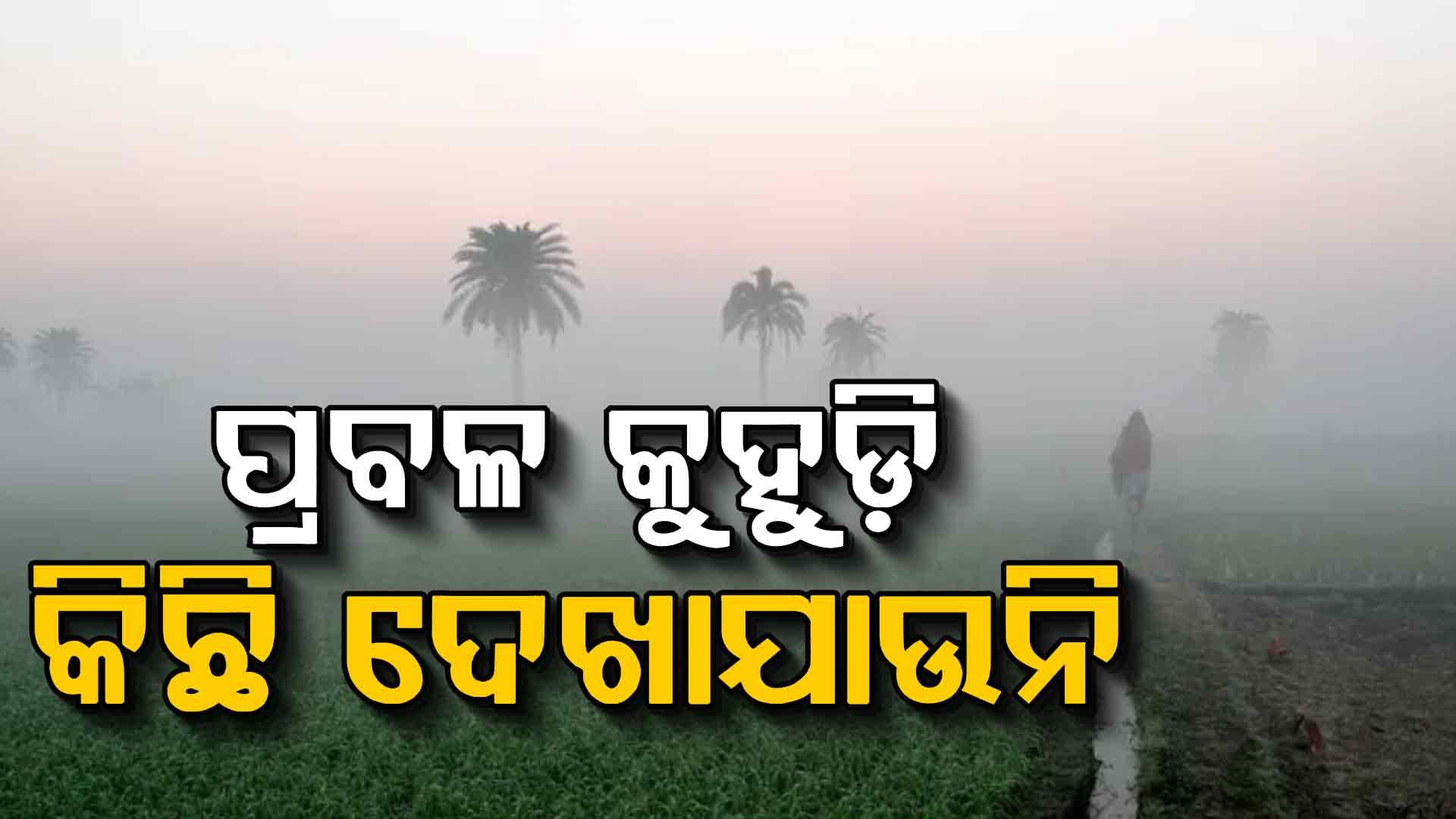 ବାପ୍‌ରେ ବାପ୍‌ କି କୁହୁଡ଼ି ! ଘରୁ ବାହାରିଲେ କିଛି ଦିଶୁନି.. ଦେଖନ୍ତୁ ଭିଡିଓ