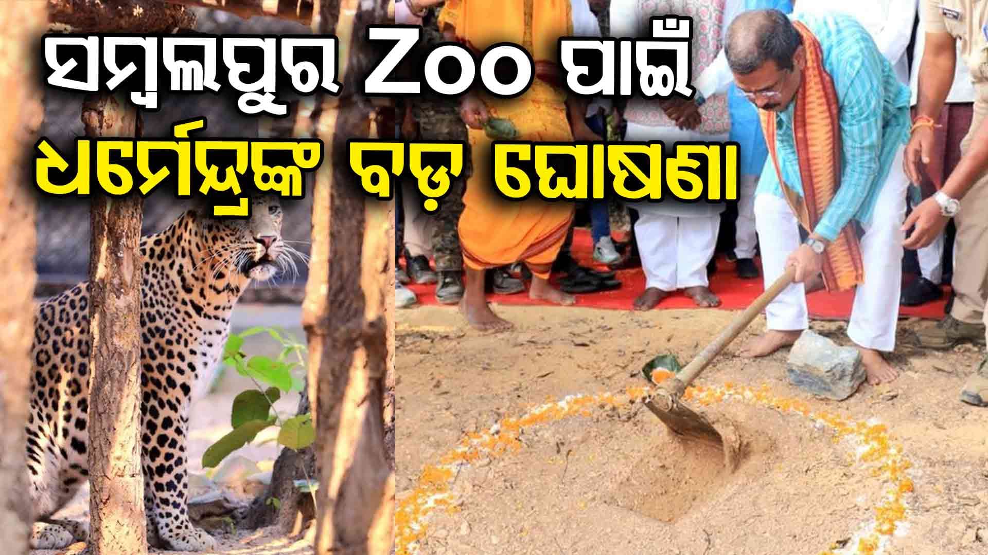 ଆହୁରି ଆକର୍ଷଣୀୟ ହେବ Sambalpur Zoo... 